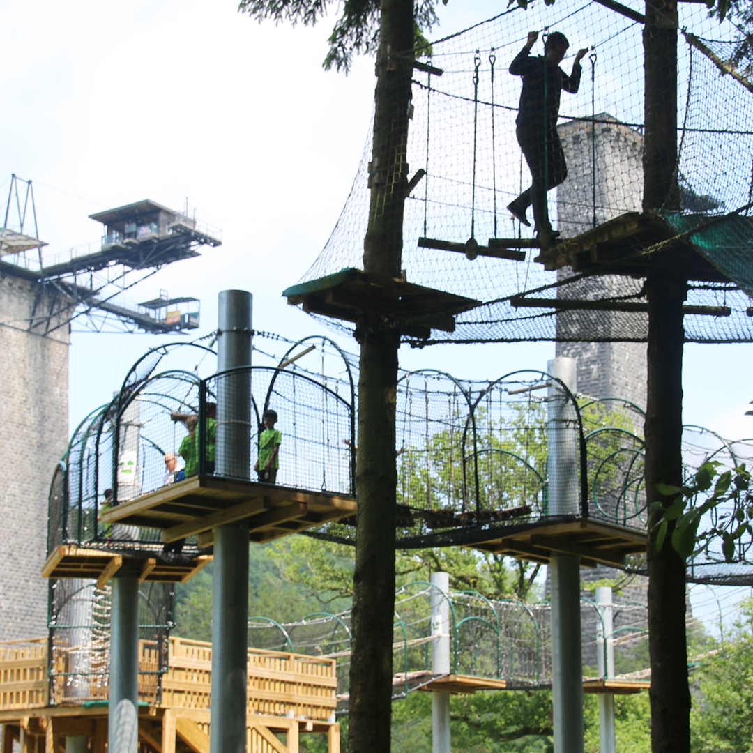 Accrobranche, l'aventure est dans les arbres !